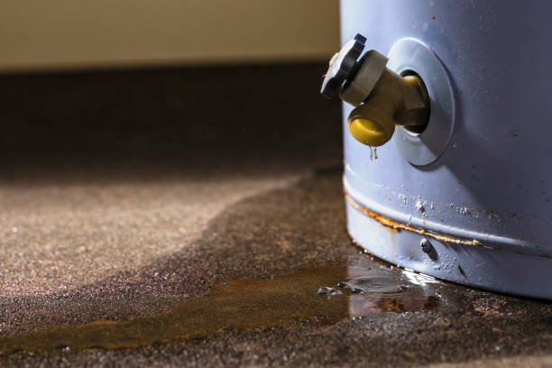 Best Water damage restoration near me  in Bay Pines, FL