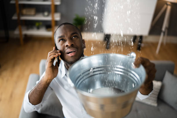 Best Water damage restoration near me  in Bay Pines, FL