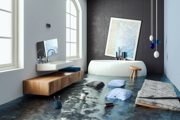  Bay Pines, FL Water damage restoration Pros