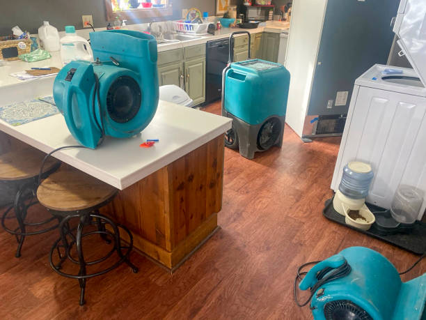 Best Residential water damage restoration  in Bay Pines, FL