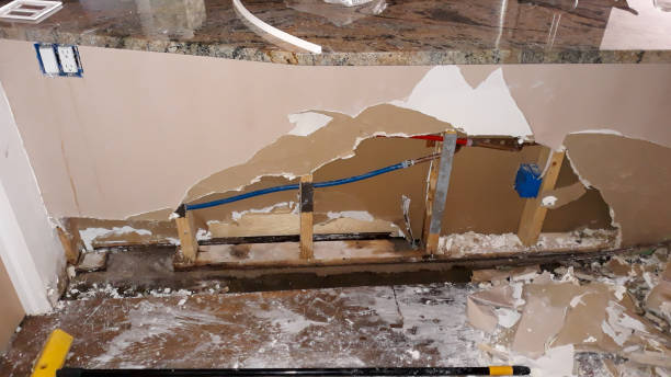 Best Commercial water damage restoration  in Bay Pines, FL