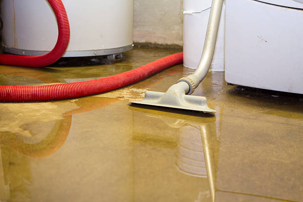 Best Sewage cleanup and water damage restoration  in Bay Pines, FL
