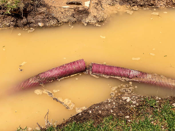 Bay Pines, FL Water damage restoration Company