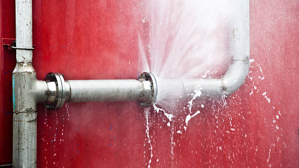 Best Flooded house restoration  in Bay Pines, FL